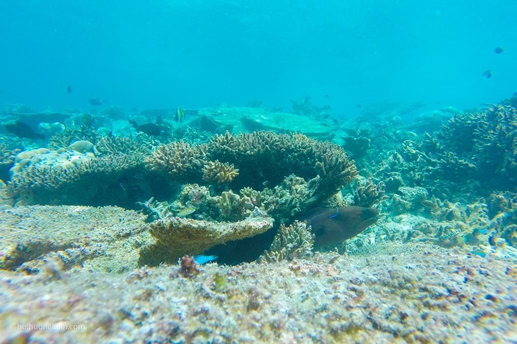 Hulhudheli Inn Luaran gambar
